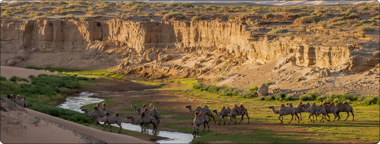 Mongolian Throat Singing Workshop