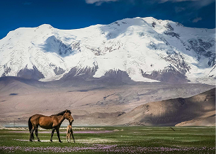 Trek Through the Altai Mountains